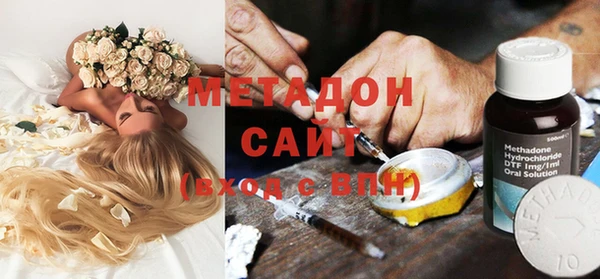шишки Надым