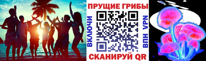 MEGA вход  Малоархангельск  Галлюциногенные грибы Psilocybine cubensis 